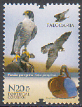 Falcoaria - Falcao Peregrino